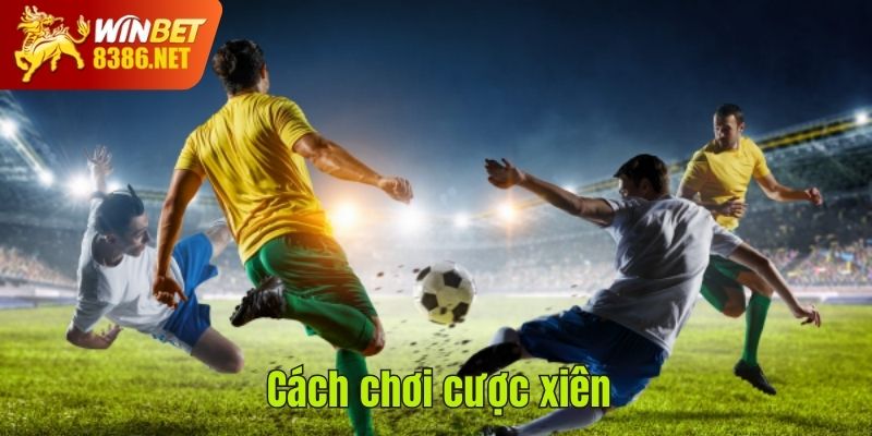 Cách chơi cược xiên