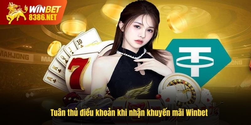 Tuân thủ điều khoản khi nhận khuyến mãi tại Winbet