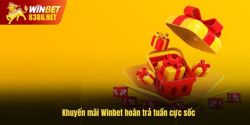 Hoạt động khuyến mãi Winbet hoàn trả tuần cực sốc